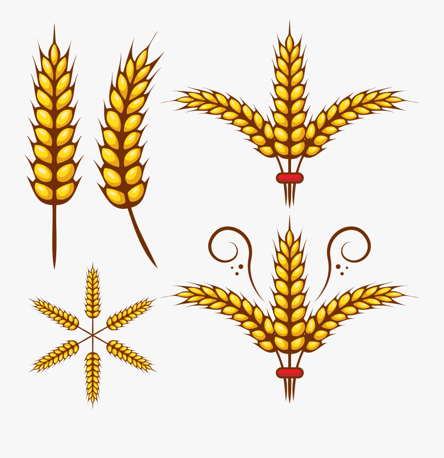 Wheat Grain Clipart 6 By Rachel - Wheat Leaf Png Clipart, Transparent Clipart