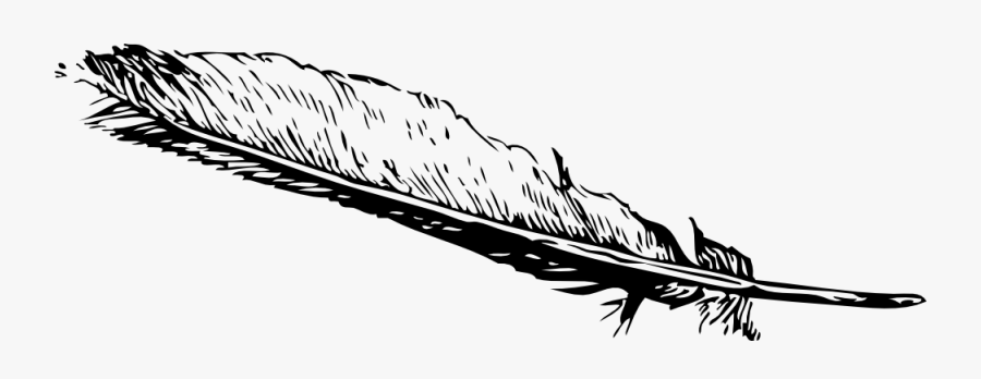 Feather Clip Art Png, Transparent Clipart