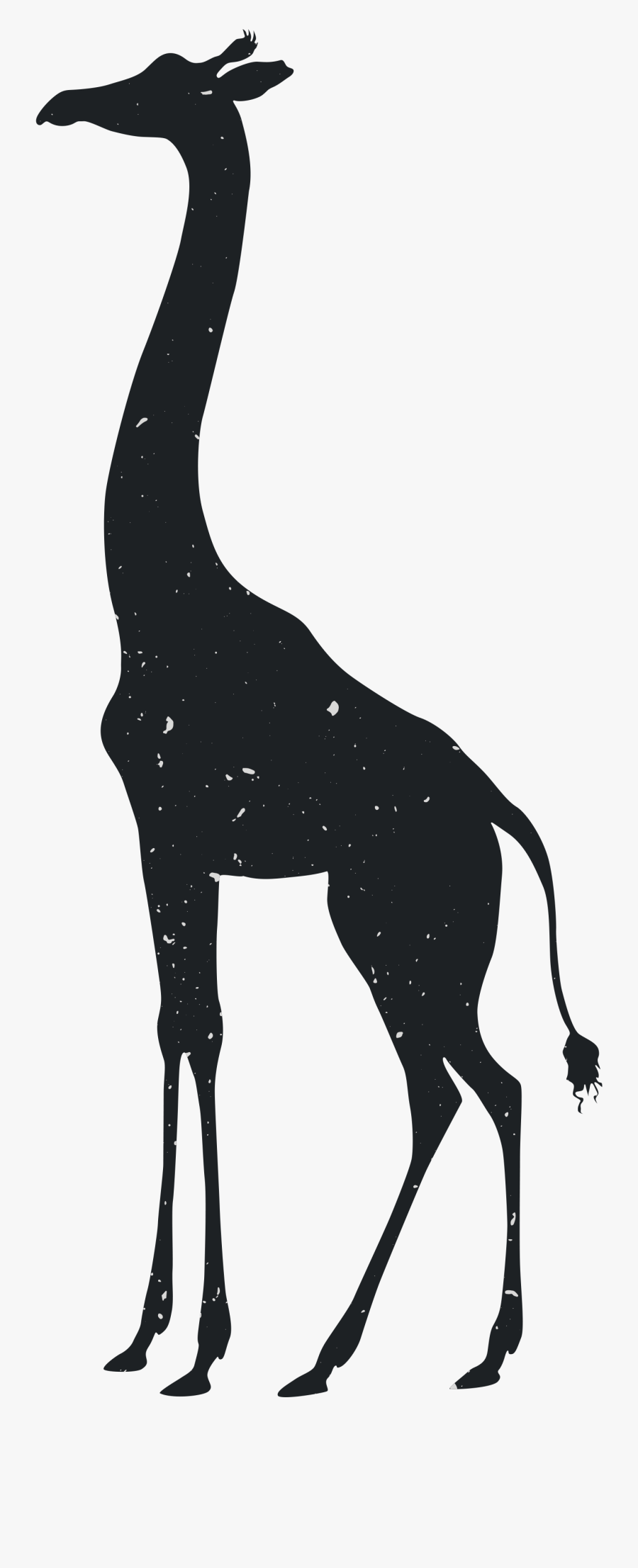 Clip Art Collection Of Free Transparent - Free Silhouette Zoo Animals, Transparent Clipart