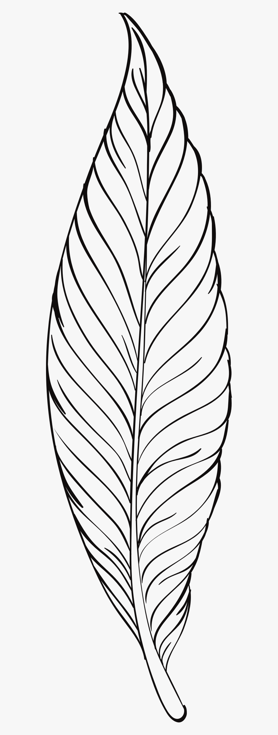 Feather Line Art Clip Arts - Plant Line Art Png, Transparent Clipart