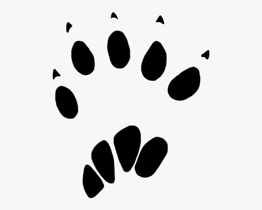 Paw Prints Animal Tracks - Rabbit Foot Print Png, Transparent Clipart