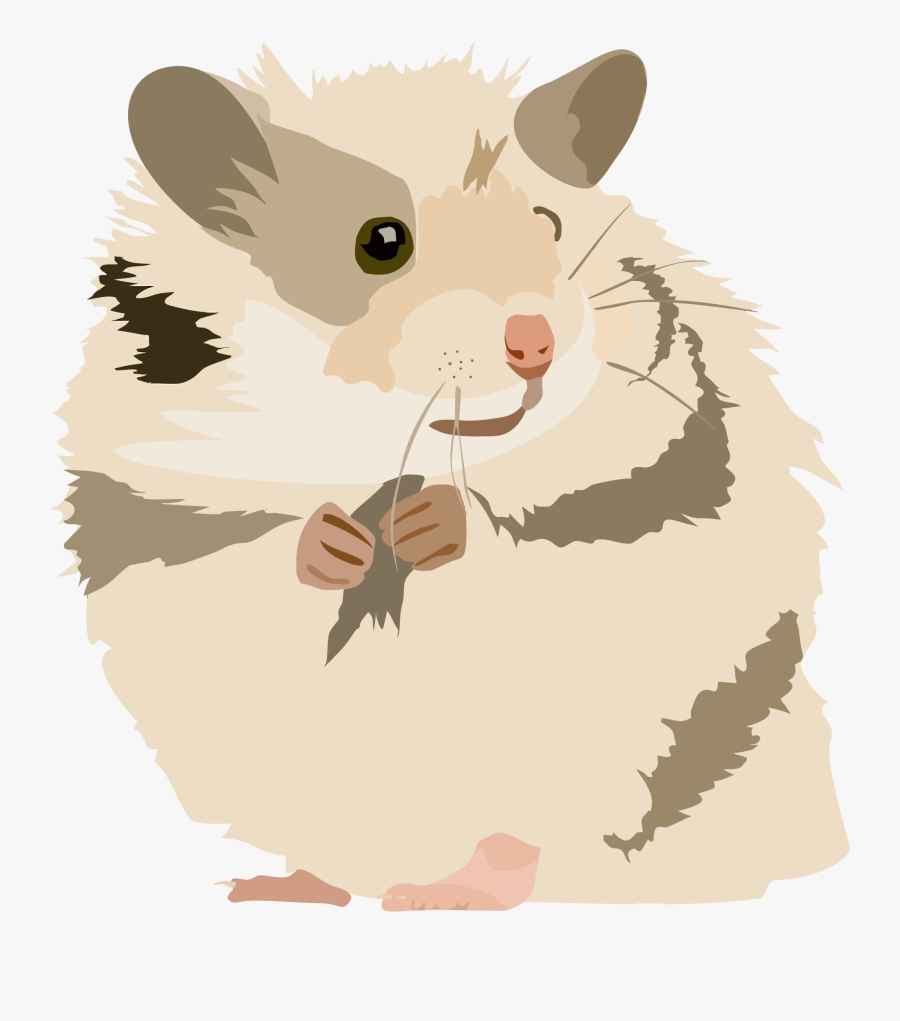 Hamster Clip Art - Hamster Clipart Transparent Background, Transparent Clipart
