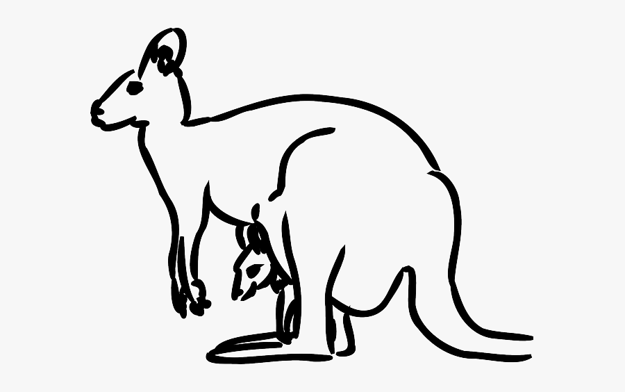 Australia Kangaroo, Baby, Animal, Mammal, Jumping, - Kangaroo Black And White Clipart, Transparent Clipart