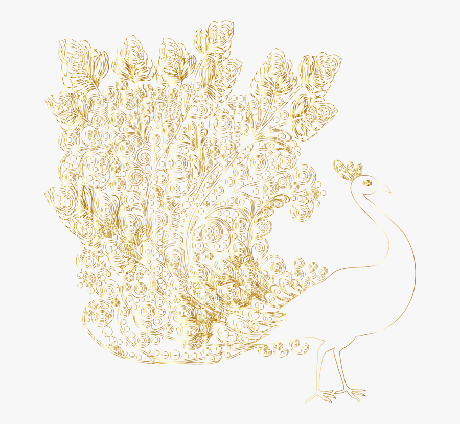 Feather,hair Accessory,peafowl - Illustration, Transparent Clipart