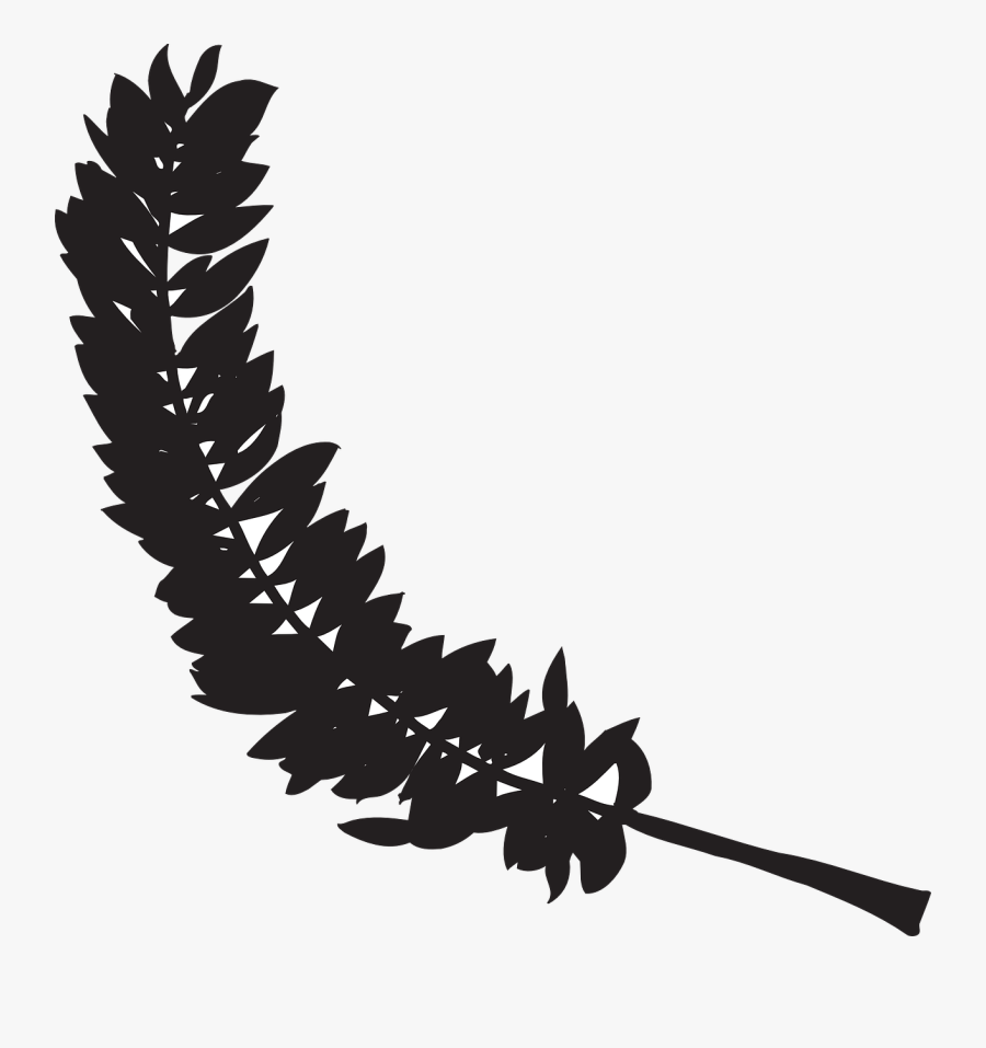 Feather Silhouette Clip Art - Feather Silhouette Transparent, Transparent Clipart