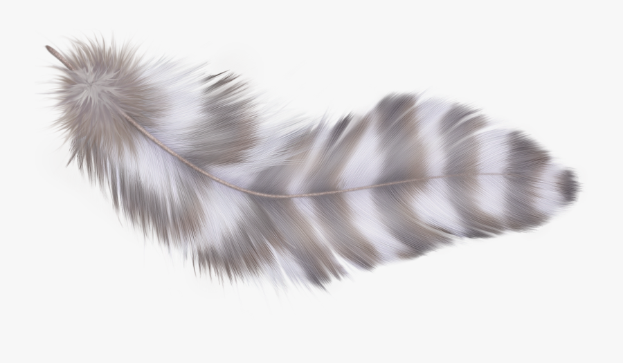 Transparent Feather Clip Art Png - Feather, Transparent Clipart