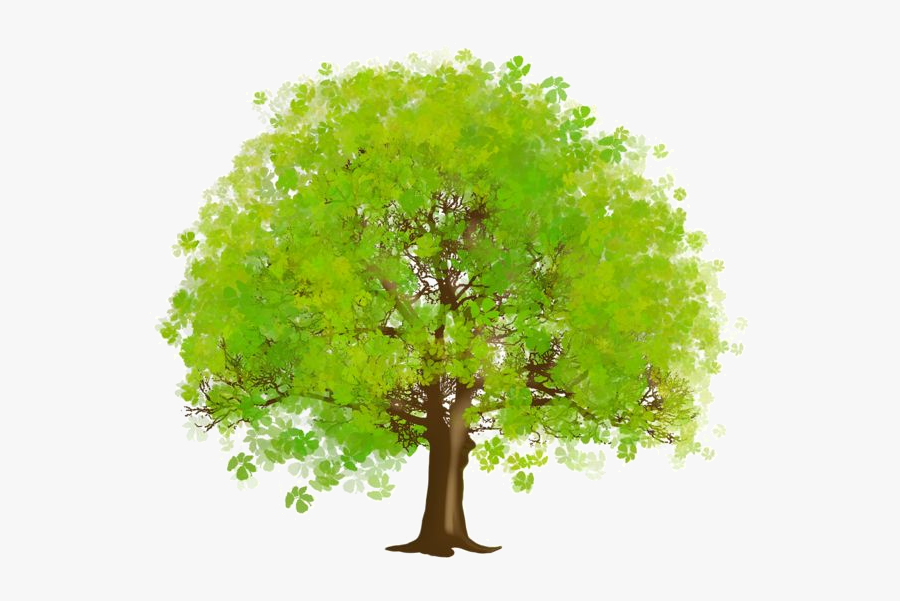 Arbre Tubes Png Ief - Clipart Tree, Transparent Clipart