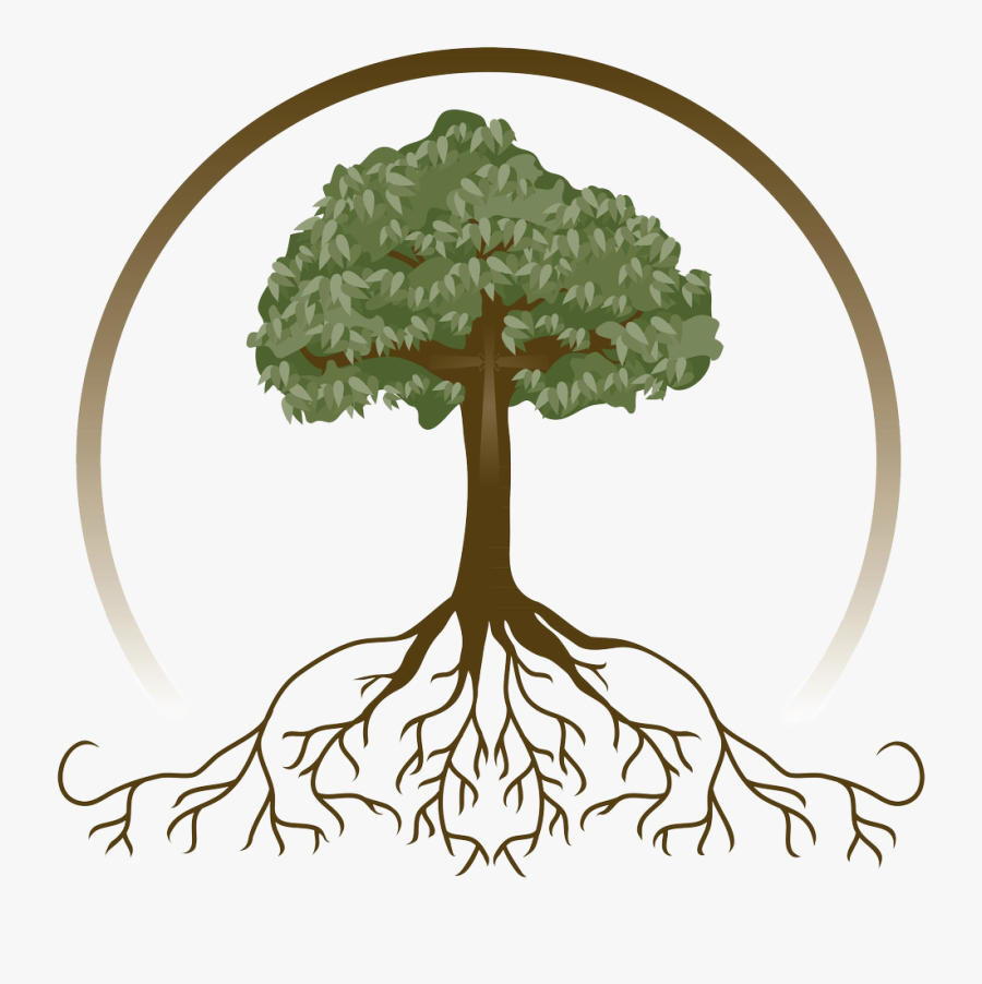 Family Tree With Roots Clipart, Hd Png Download , Png - Free Tree With Roots Clipart, Transparent Clipart