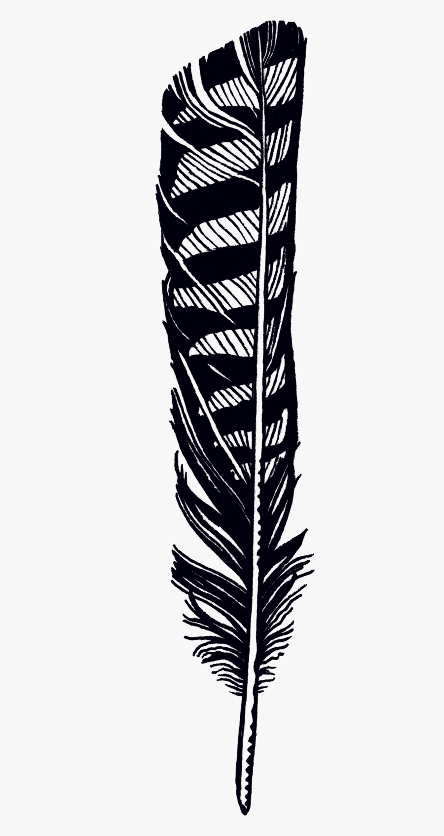 Transparent Feather Clipart - Hawk Feather Tattoo Designs, Transparent Clipart