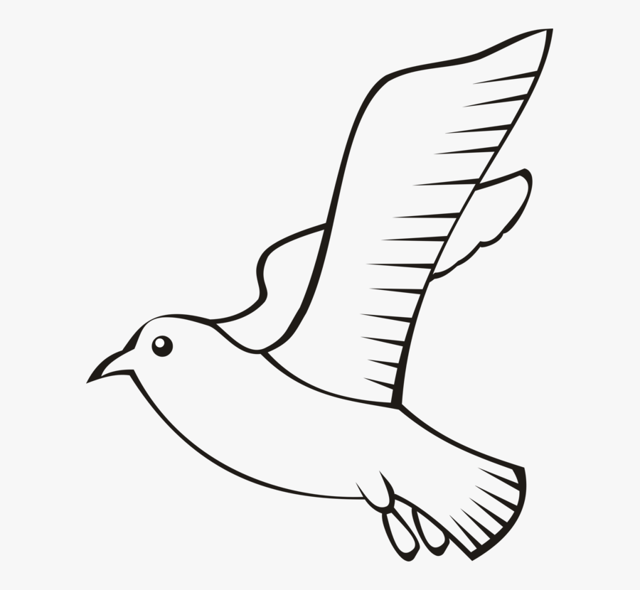 Feather Bird Beak Wing Flight Cc0 - Flying Bird Outline Png, Transparent Clipart