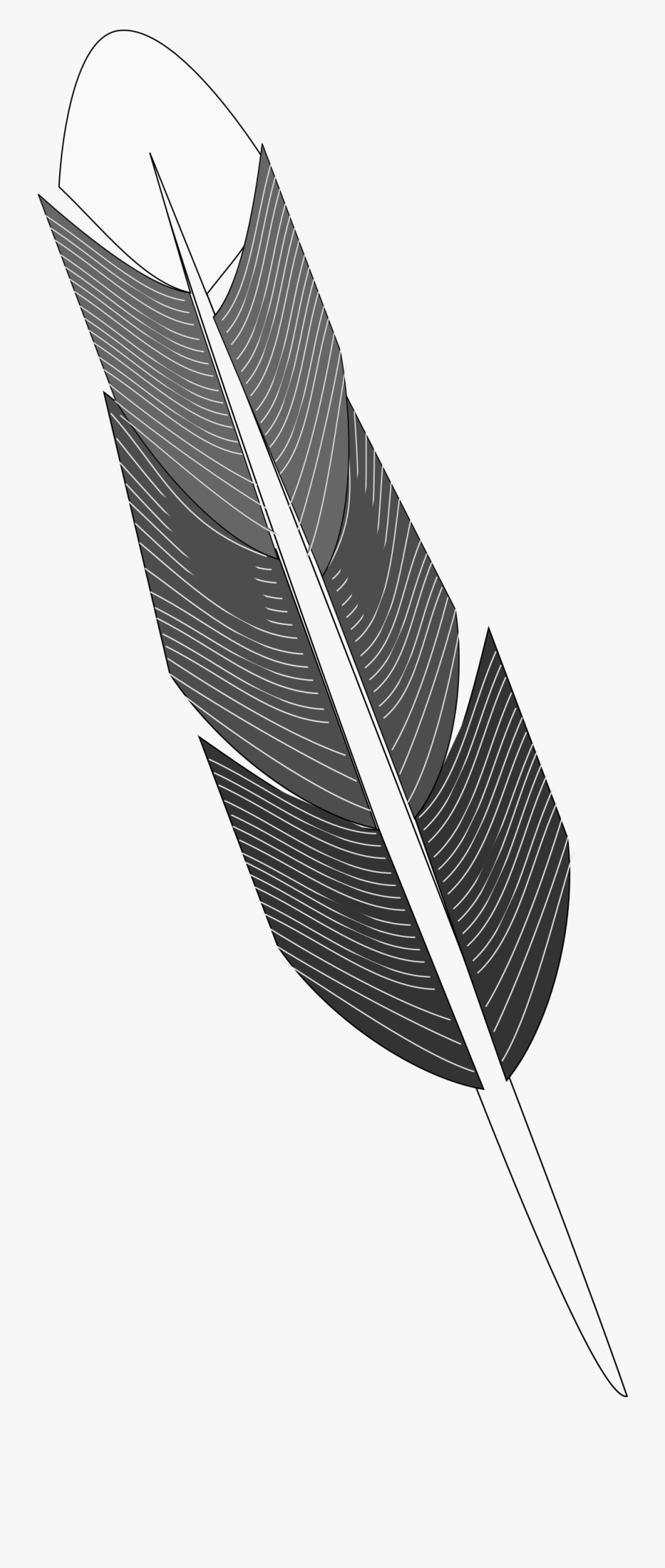 Grayscale Feather, Transparent Clipart