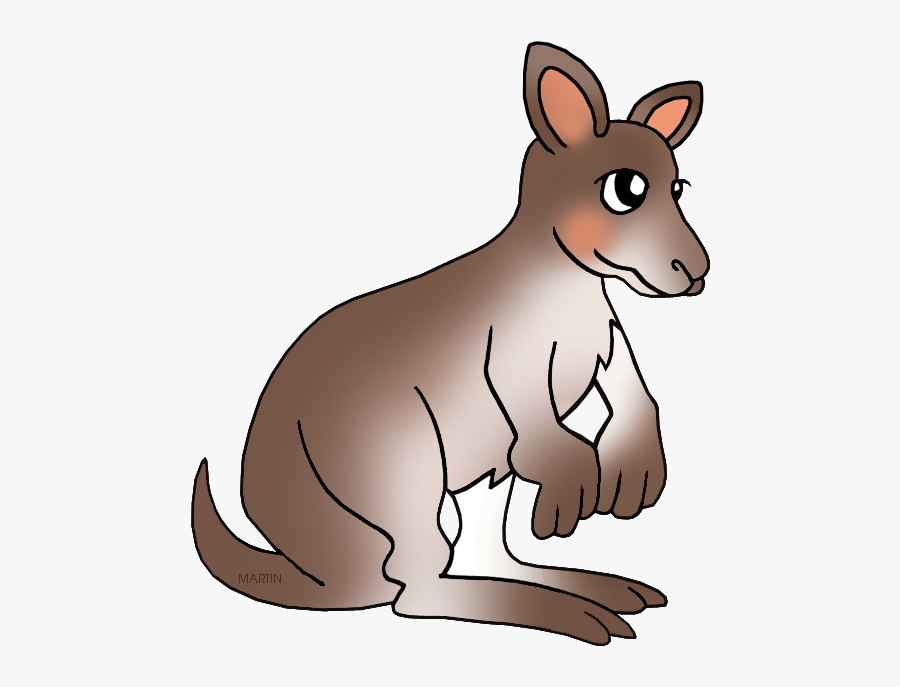 Kangaroo Clipart Vertebrate - Wallaby Clip Art, Transparent Clipart
