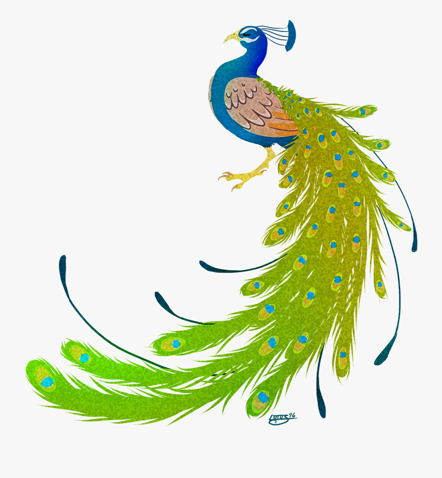 Bird Peafowl Feather Clip Art - Hd Peacock Clipart Png, Transparent Clipart