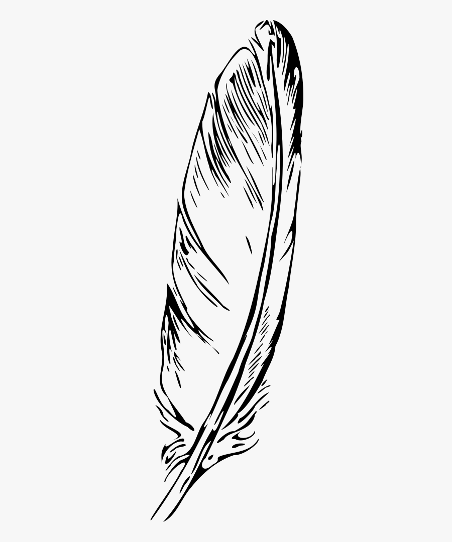 Feather, Transparent Clipart