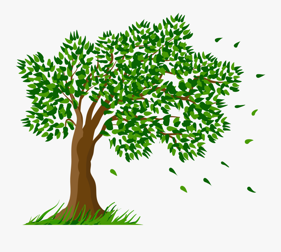 Logo - Tree Clipart No Background, Transparent Clipart