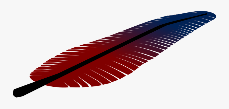 Fedder Quill Red Free Vector Graphic On - Feather Clip Art, Transparent Clipart