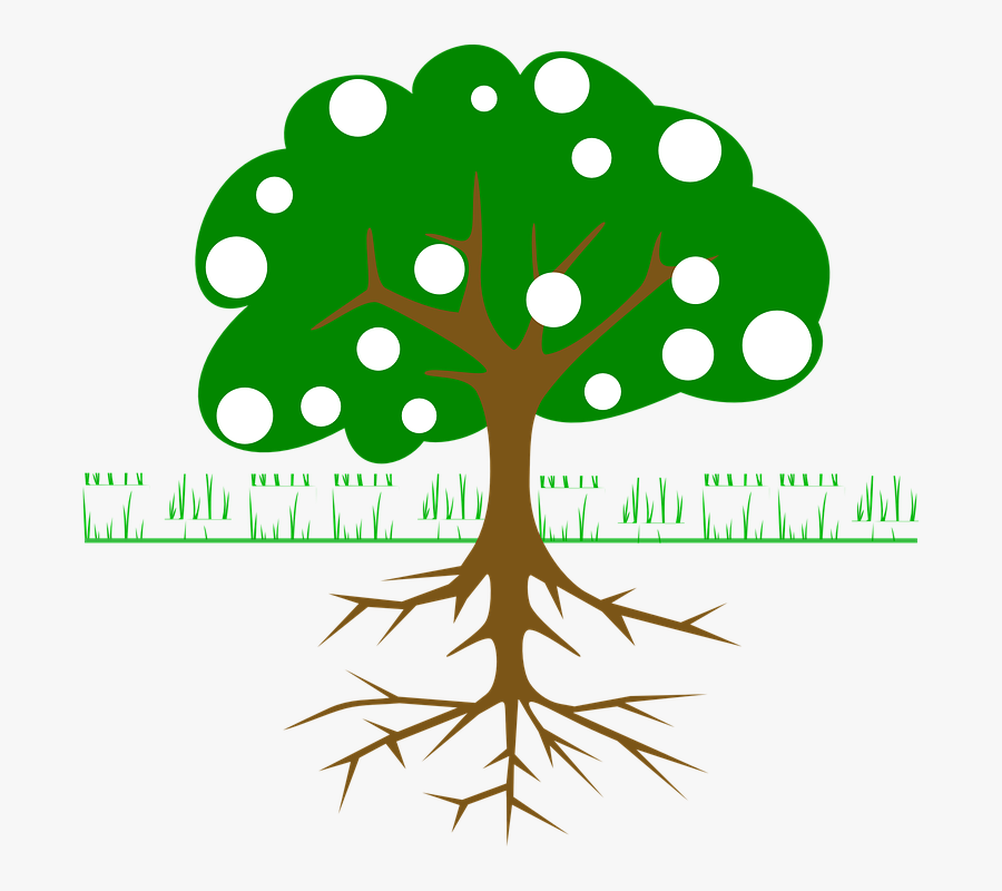 Tree Roots Fruits - Tree Clip Art, Transparent Clipart