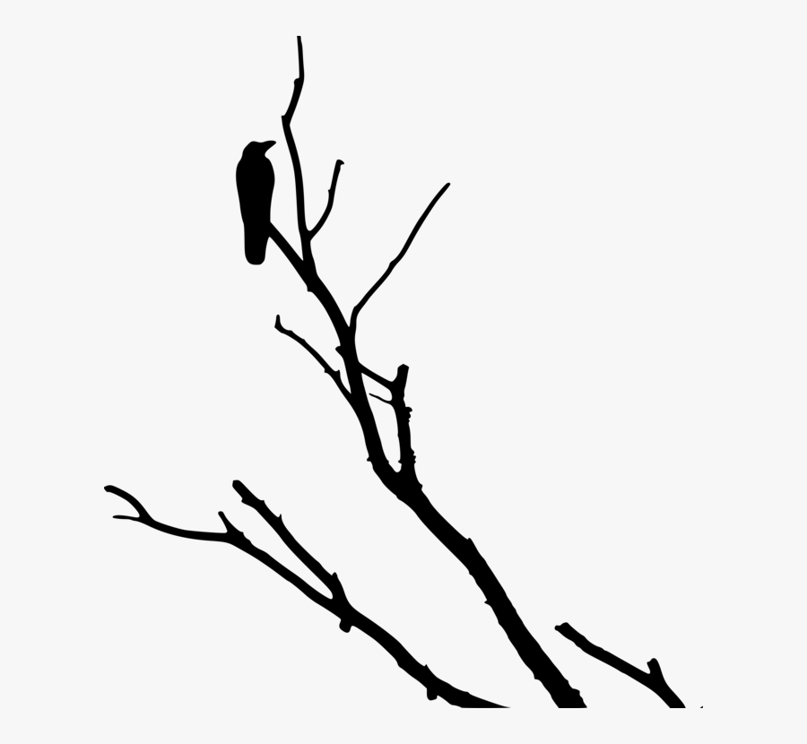 Monochrome - Crow In Tree Silhouette, Transparent Clipart