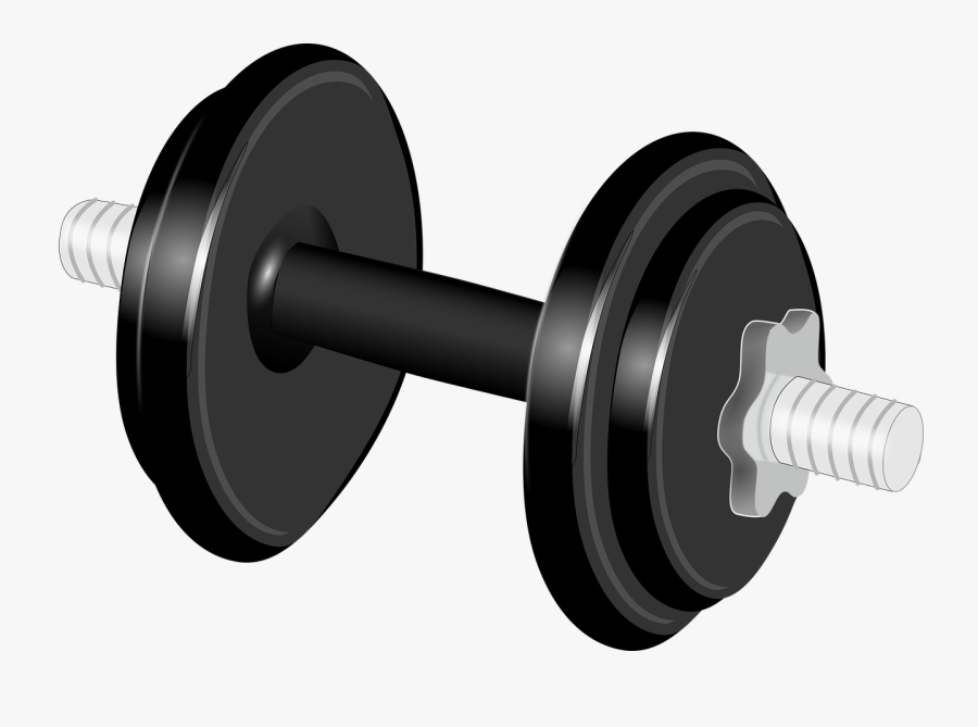 Exercise Equipment,sports Equipment,weights - Dumbbells Png, Transparent Clipart