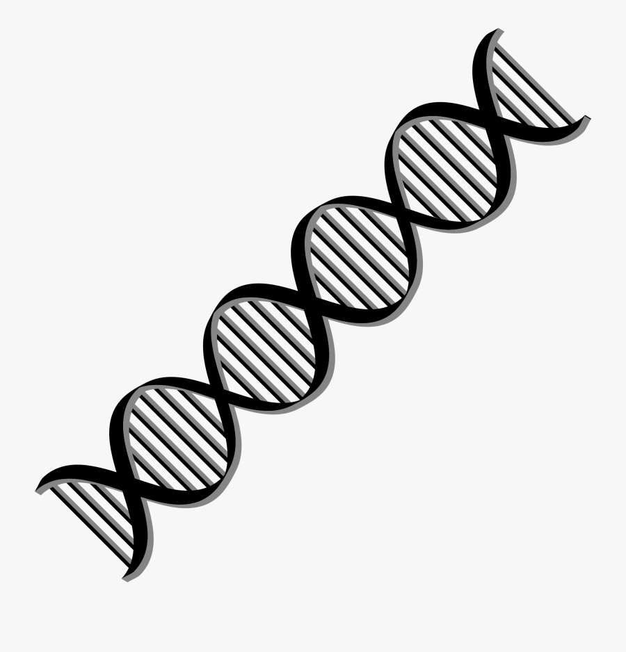 Clipart Dna Helix Variation - Dna Png, Transparent Clipart