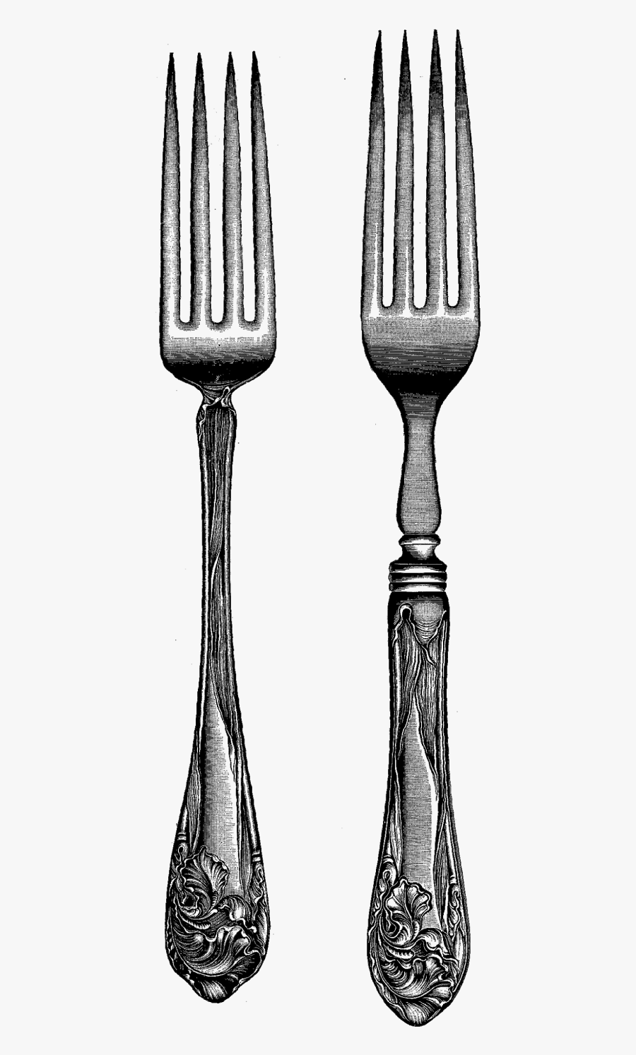 Digital Stamp Design - Still Life Photography, Transparent Clipart