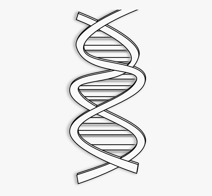 Dna - Clipart - Dna Black And White Clipart, Transparent Clipart