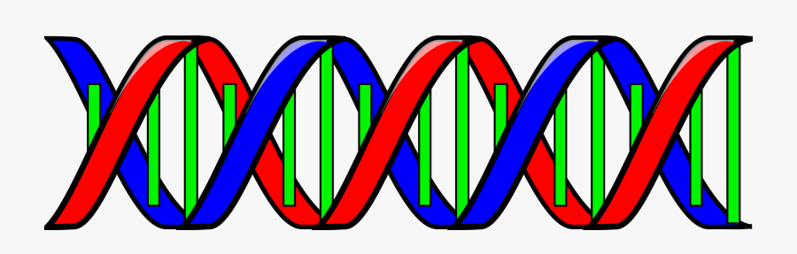 Double Helix - Double Helix Dna Clipart, Transparent Clipart
