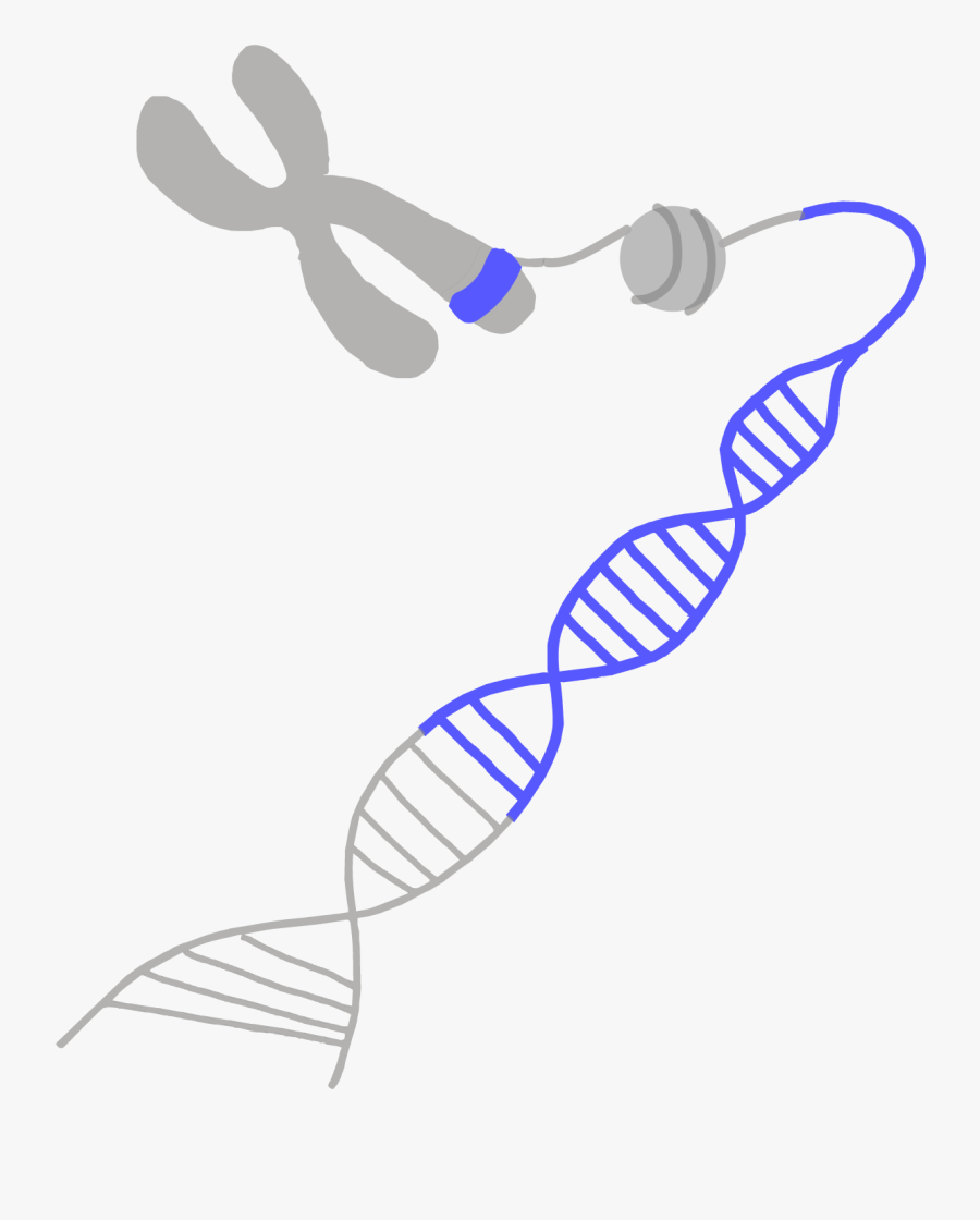 Transparent Dna Clipart Png - Genomics Market Map, Transparent Clipart