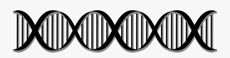 Dna Clipart Clip Art - Dna Double Helix Clip Art, Transparent Clipart