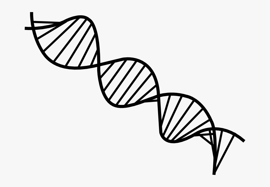 Transparent Dna Clipart Transparent - Dna Png, Transparent Clipart