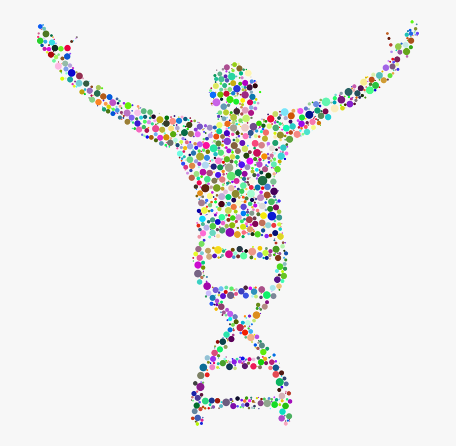 Art,jewellery,symmetry - Dna Human, Transparent Clipart