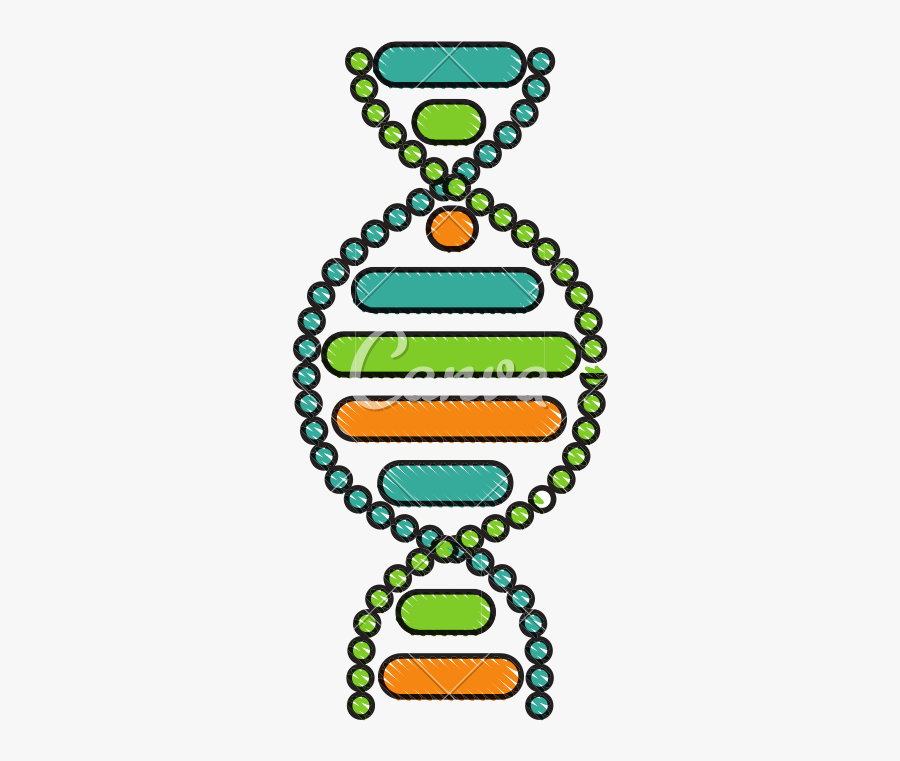 Dna Molecule Sketch, Transparent Clipart