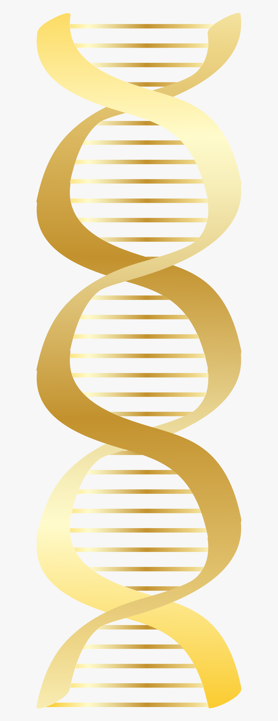 Dna Clip Art Free Clipart Images - Gold Dna Png, Transparent Clipart