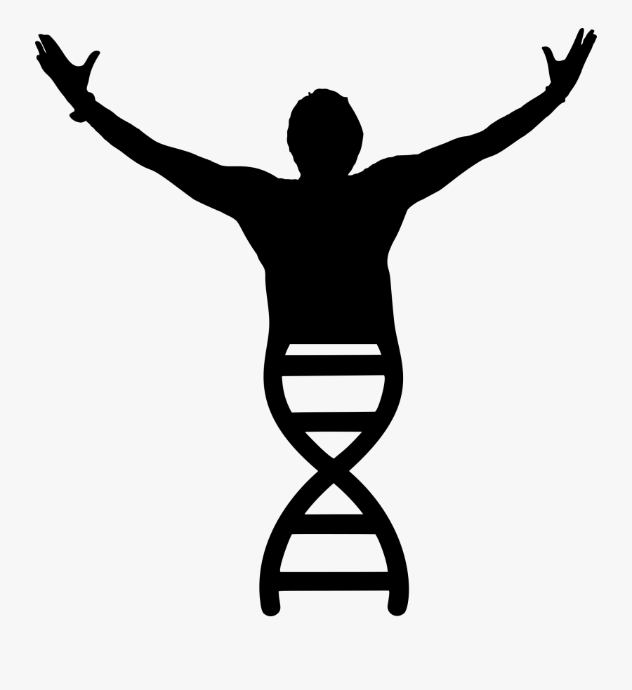 Man Silhouette Png - Biology Clipart, Transparent Clipart