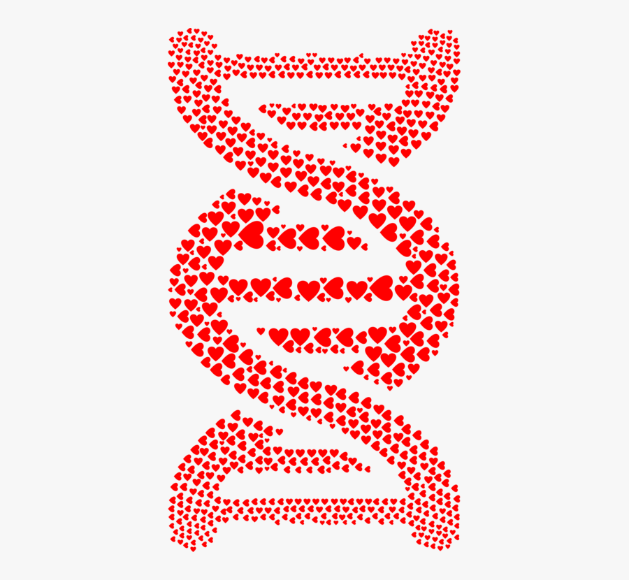 Heart,angle,organ - Dna Strand Made With Words, Transparent Clipart