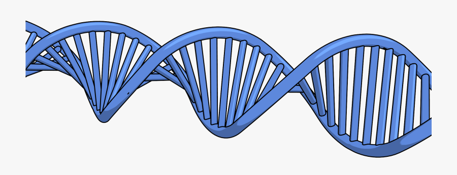 New Dna Png Clipart Picture New Dna Png Clipart Picture, Transparent Clipart
