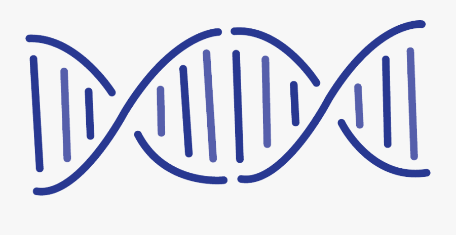 Dna Png - Gene Png, Transparent Clipart