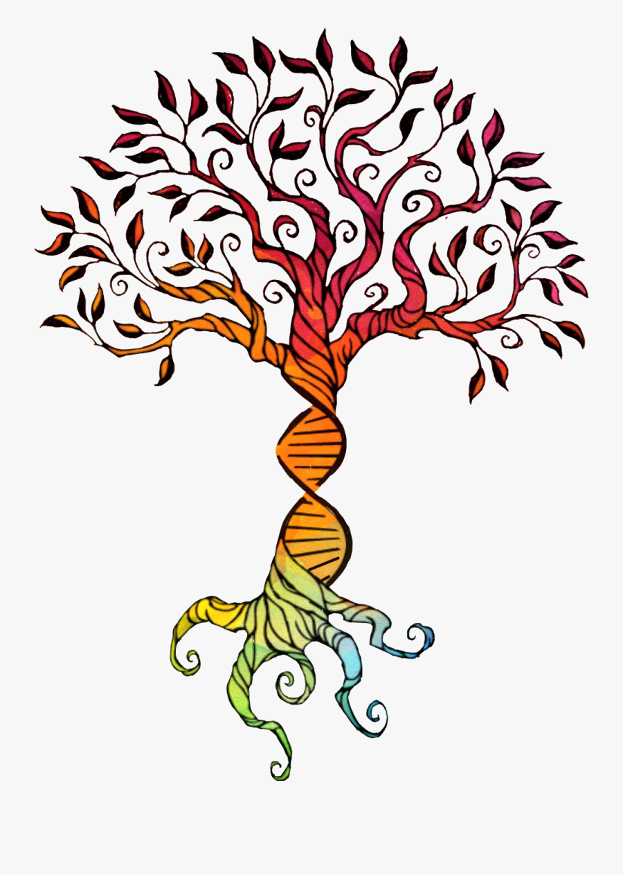 Transparent Dna Clipart - Simple Oak Tree Drawing, Transparent Clipart