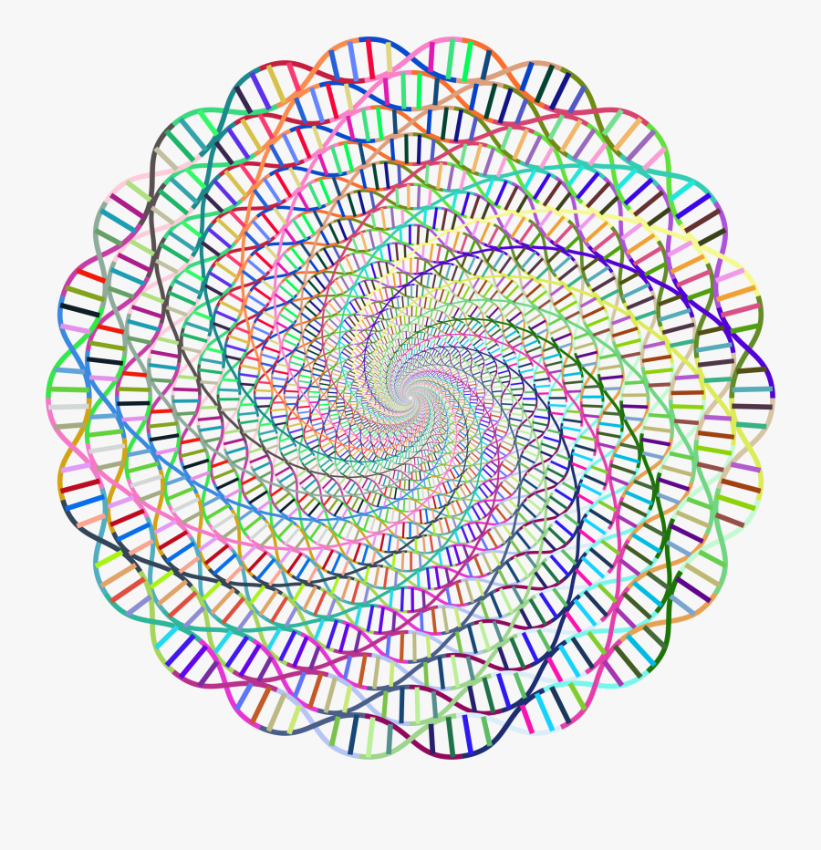 Deoxyribonucleic Acid, Transparent Clipart
