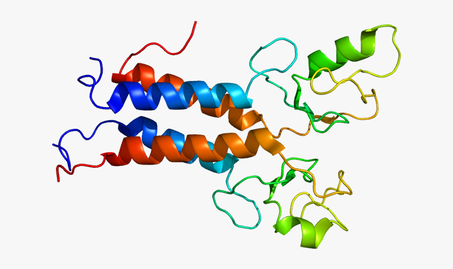 Dna Clipart Wikipedia - Brca1 Gene, Transparent Clipart