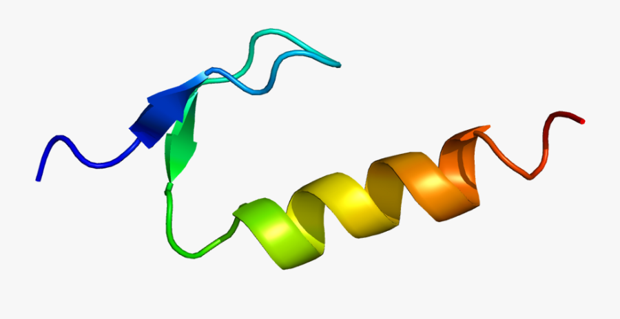 Dna Clipart Dna Replication - Dna Polymerase Eta, Transparent Clipart