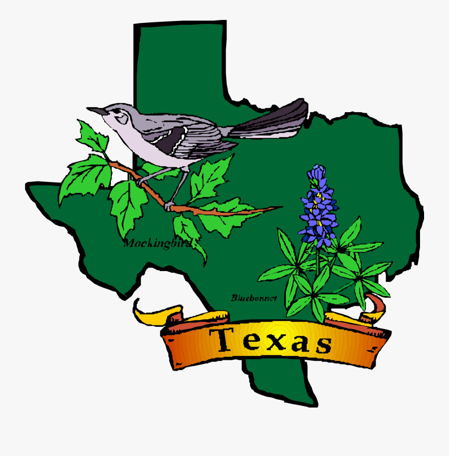 Texas Theme Cliparts - Texas State Symbols Clipart, Transparent Clipart