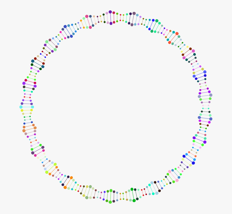 Art,symmetry,area - Double Helix Circle, Transparent Clipart