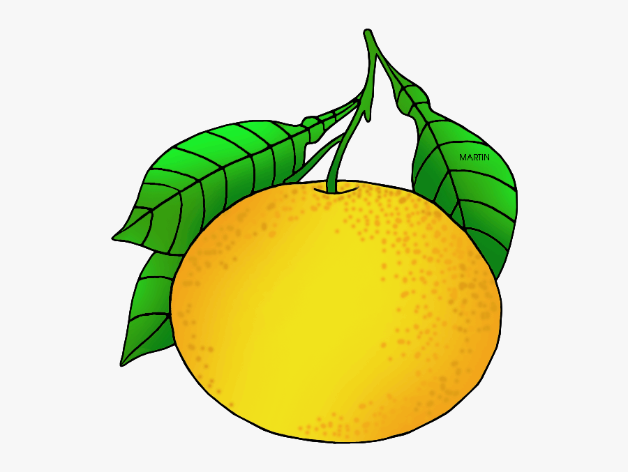 Texas State Fruit - Texas State Fruit Clipart, Transparent Clipart