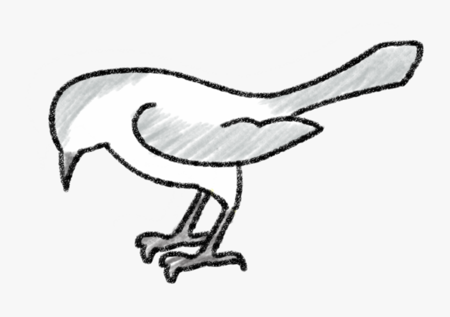 Mockingbird Drawing, Transparent Clipart