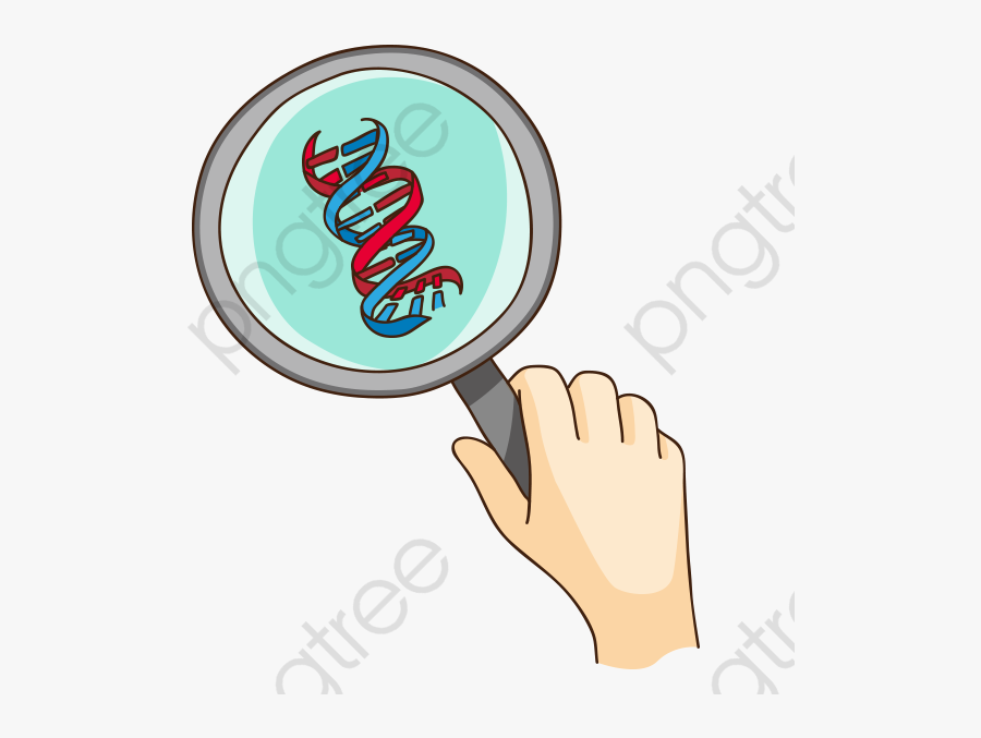 Transparent Dna Clipart Png, Transparent Clipart