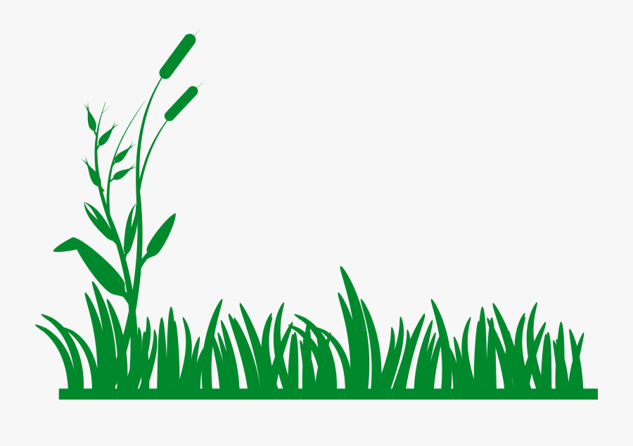 Grass Border Clipart, Transparent Clipart