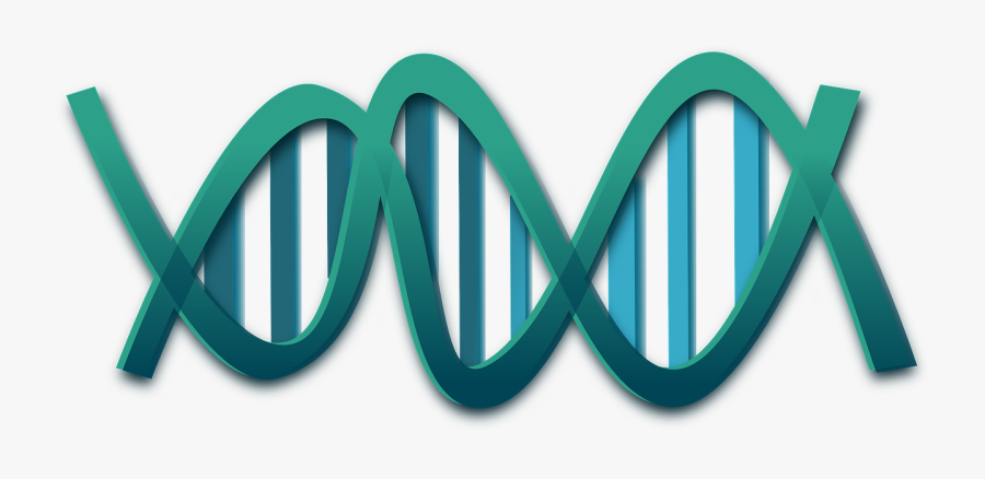 Png Free Dna Clipart Transparent - Dna Transparent, Transparent Clipart