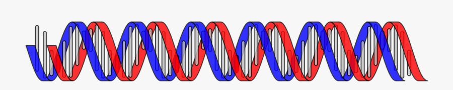 Dna, Science, Biology, Medical, Biotechnology, Research - Dominante Gener Eller Recessive, Transparent Clipart