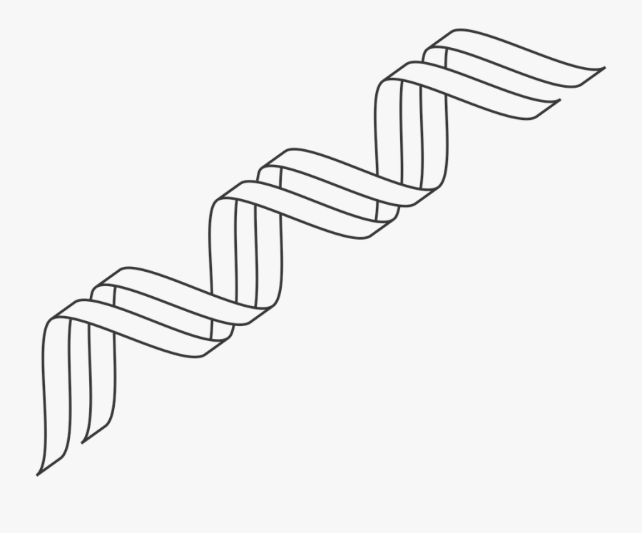 Transparent Dna Helix Clipart - Outline Double Helix, Transparent Clipart